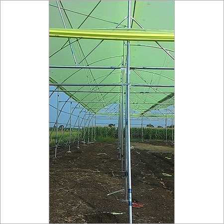 Poly Green House