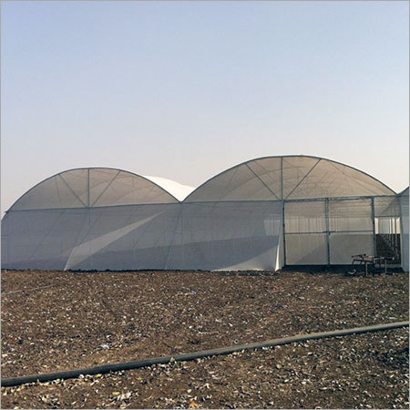Transgenic Poly Houses