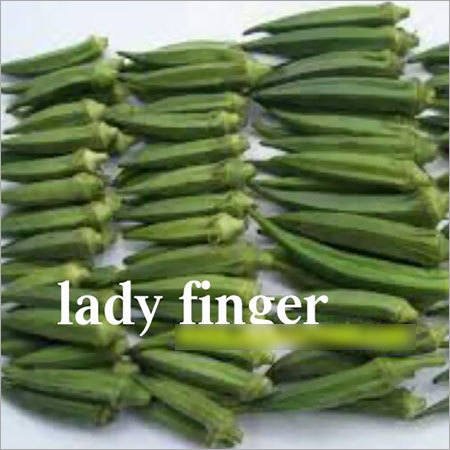 Lady Finger