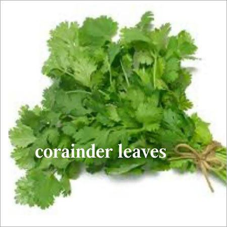 Corainder Leaver