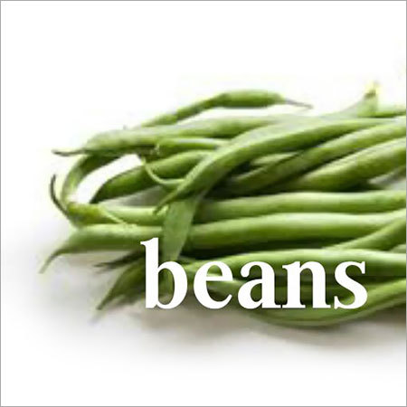Fresh Beans