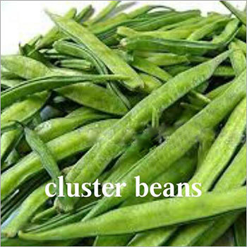 Cluster Beans