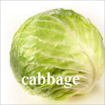 Preserved Cabbage