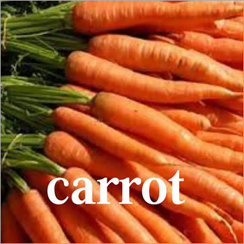 Fresh Carrots