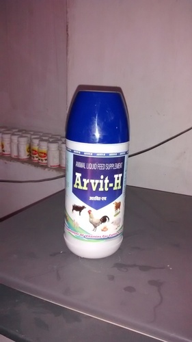 Arvit -H