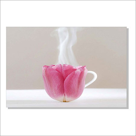 Glass Mirror Highlighter