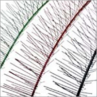 Powder Coated Bird Spikes