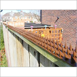 Bird Proofing Spikes
