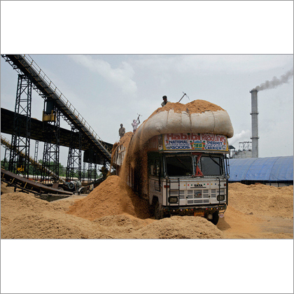 Biomass Gas Power Plant