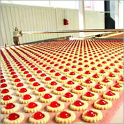 Food Processing Belts - Rubber Material, Customized Size | Durable, Corrosion Resistant, Long Lasting With Superior Finish