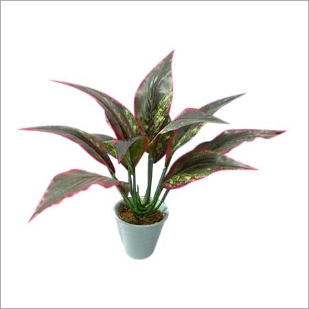 Artificial Plants & Trees