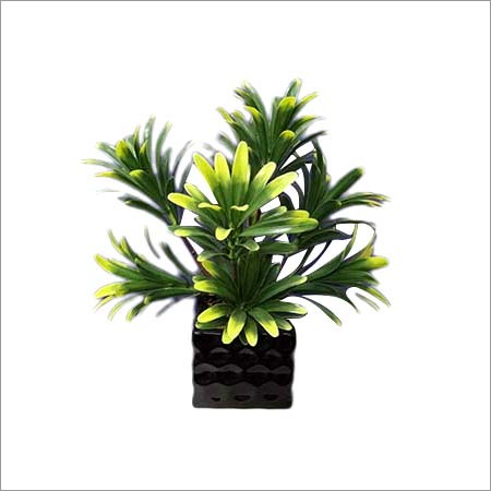 Artificial Plants & Trees