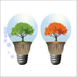 Electrical Energy Conservation Services