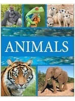 जानवरों