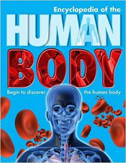 Encyclopedia of the Humany Body