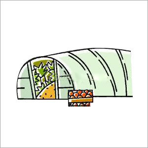 Greenhouse Covers