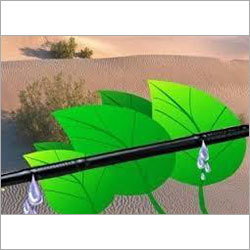 Drip Irrigation Lines