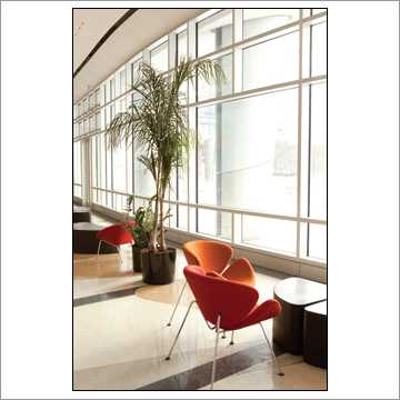 Sun Control Window Film