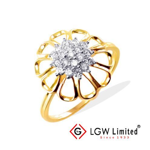Regular Ring