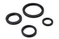 Oil Seal Gasket