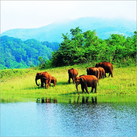 Kerala Wildlife Tour Packages
