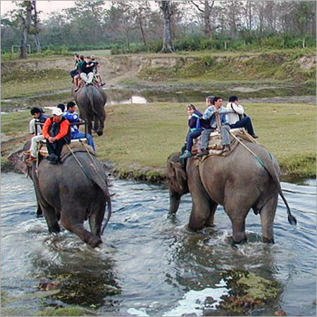 Kerala Jungle Safari Tour
