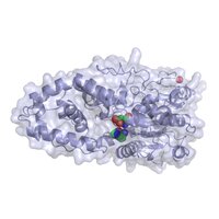 PHYTASE .