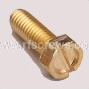 Brass Hex Slotted Screws