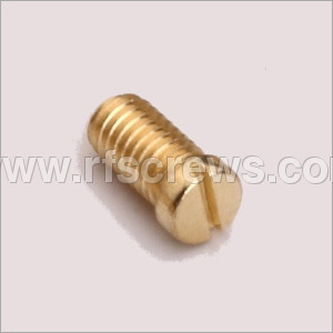 Cheese Head Screws