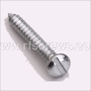 SS AB Taype Self Tapping Screws