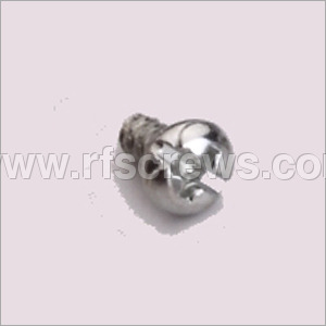 SS B type Head Screws