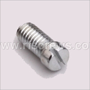 SS Cheese Head Slotted Screws
