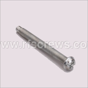 SS Dog Point Phillip Head Screws