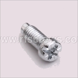 SS Dog Point Pozy Combination Screws