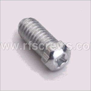 SS Hex Phillips Screws