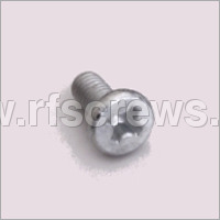 SS Pan Combination Screw