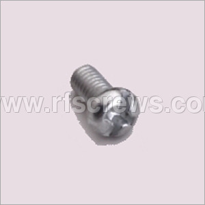 SS Pan Combination Screws