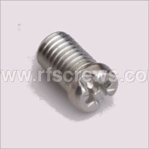 SS Pozy Combination Screws