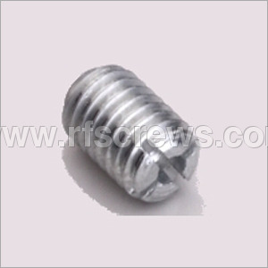 SS Slotted Grub Screws