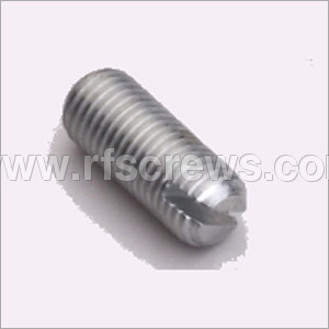 SS Slotted Screws