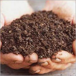 Crops Bio Fertilizers