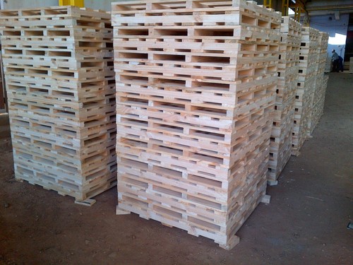 Wooden Trays