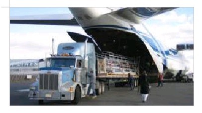 International Air Cargo
