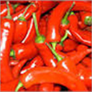 Fresh Red Chillies