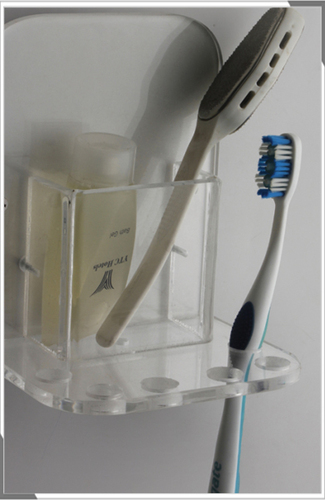 Wall Mounted Acrylic Toothbrush Holder Size: Customized