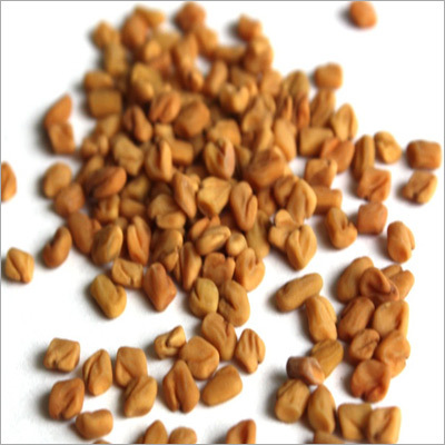 Fenugreek Seeds