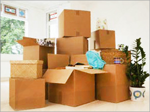 Domestic Packers And Movers Services