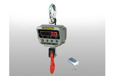 crane scale