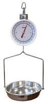 Hanging Scale1