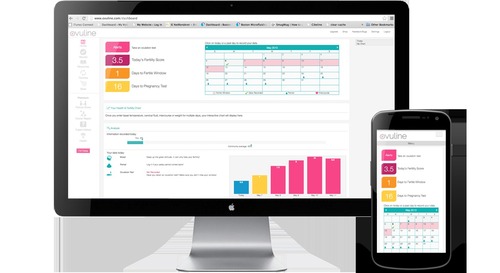 Computer Software Designing Services